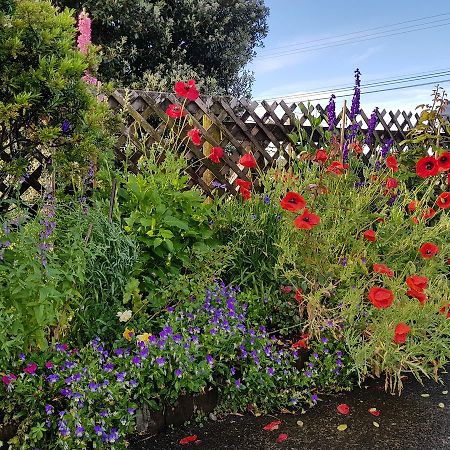 וויטיאנגה The Green House B&B מראה חיצוני תמונה