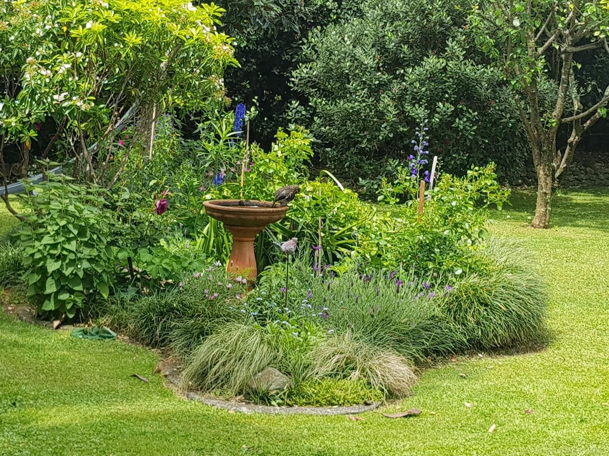 וויטיאנגה The Green House B&B מראה חיצוני תמונה